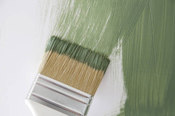 Best Basement Mold Removal  in Baldwin, MI