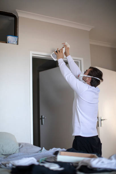 Best Residential Mold Inspection & Testing  in Baldwin, MI