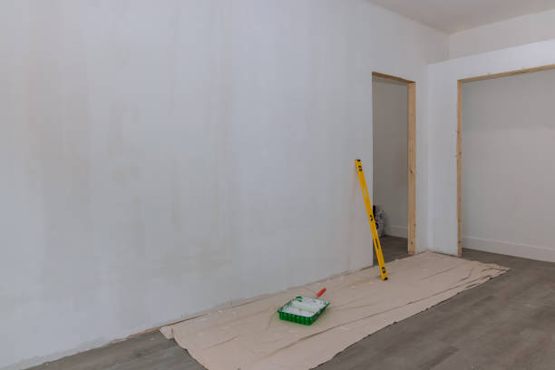 Best Crawl Space Mold Remediation  in Baldwin, MI