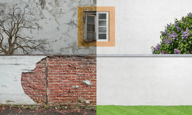 Best Mold Prevention Services  in Baldwin, MI