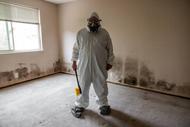 Best Air Quality Testing for Mold Spores  in Baldwin, MI